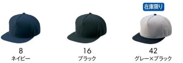 5パネルキャップ